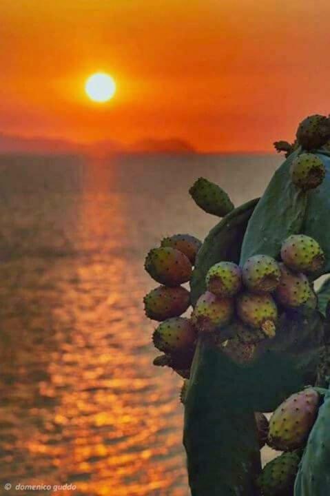 A Pozzallo Vicino Al Mare Villa Luaran gambar